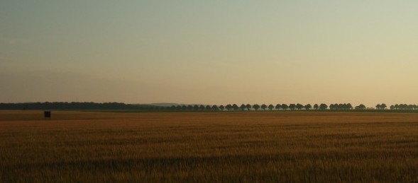Blick auf den Radwanderweg von Bad Doberan nach Heiligendamm