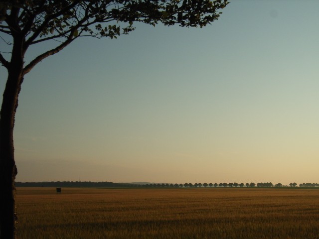 Blick auf den Radwanderweg von Bad Doberan nach Heiligendamm